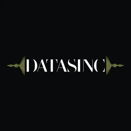 Logo Datasinc